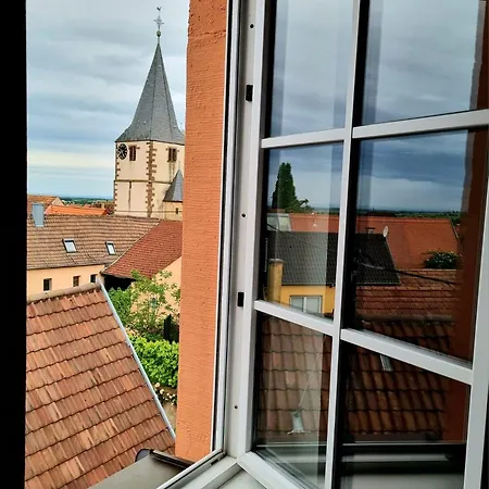 Weitblick Pfalz